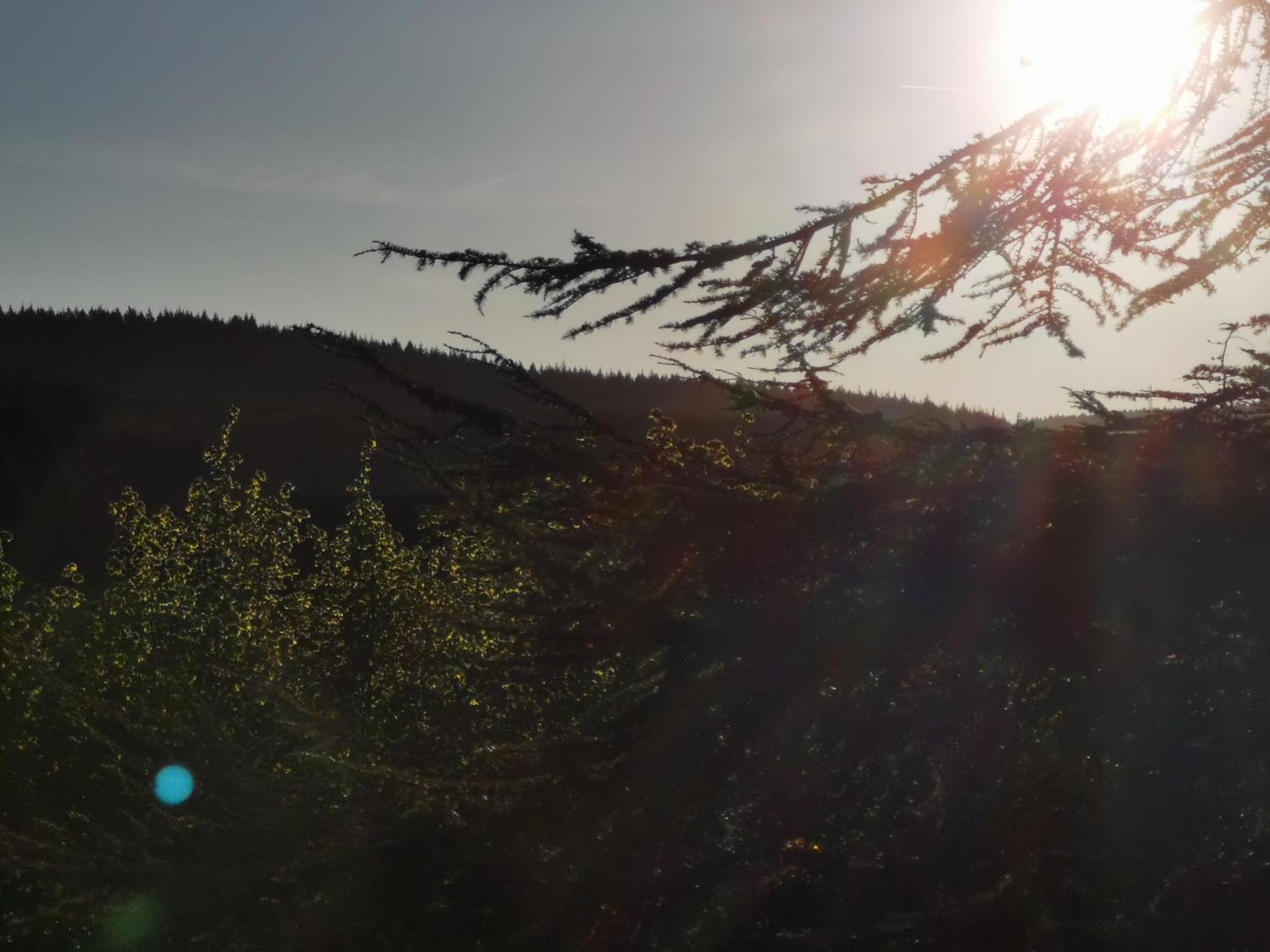 Gite La Bancale Lormes Eksteriør bilde